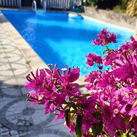 Les Bichettes Bed & Breakfast Mortagne-sur-Sevre Екстериор снимка