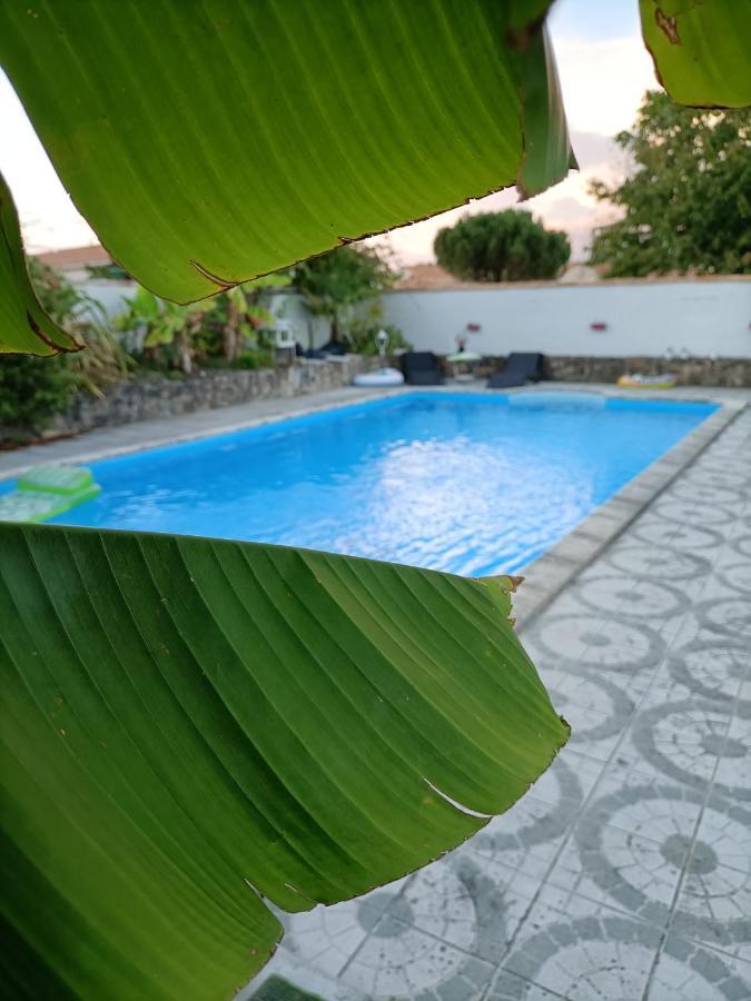Les Bichettes Bed & Breakfast Mortagne-sur-Sevre Екстериор снимка