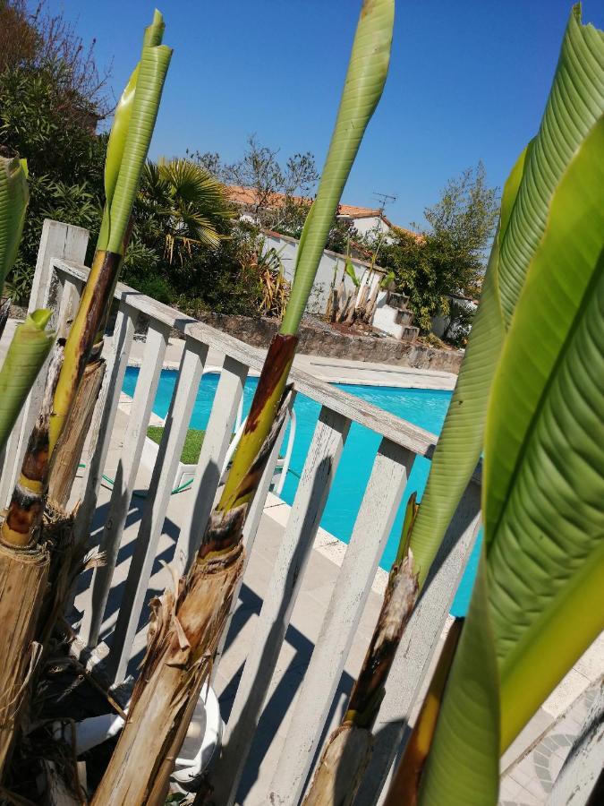 Les Bichettes Bed & Breakfast Mortagne-sur-Sevre Екстериор снимка