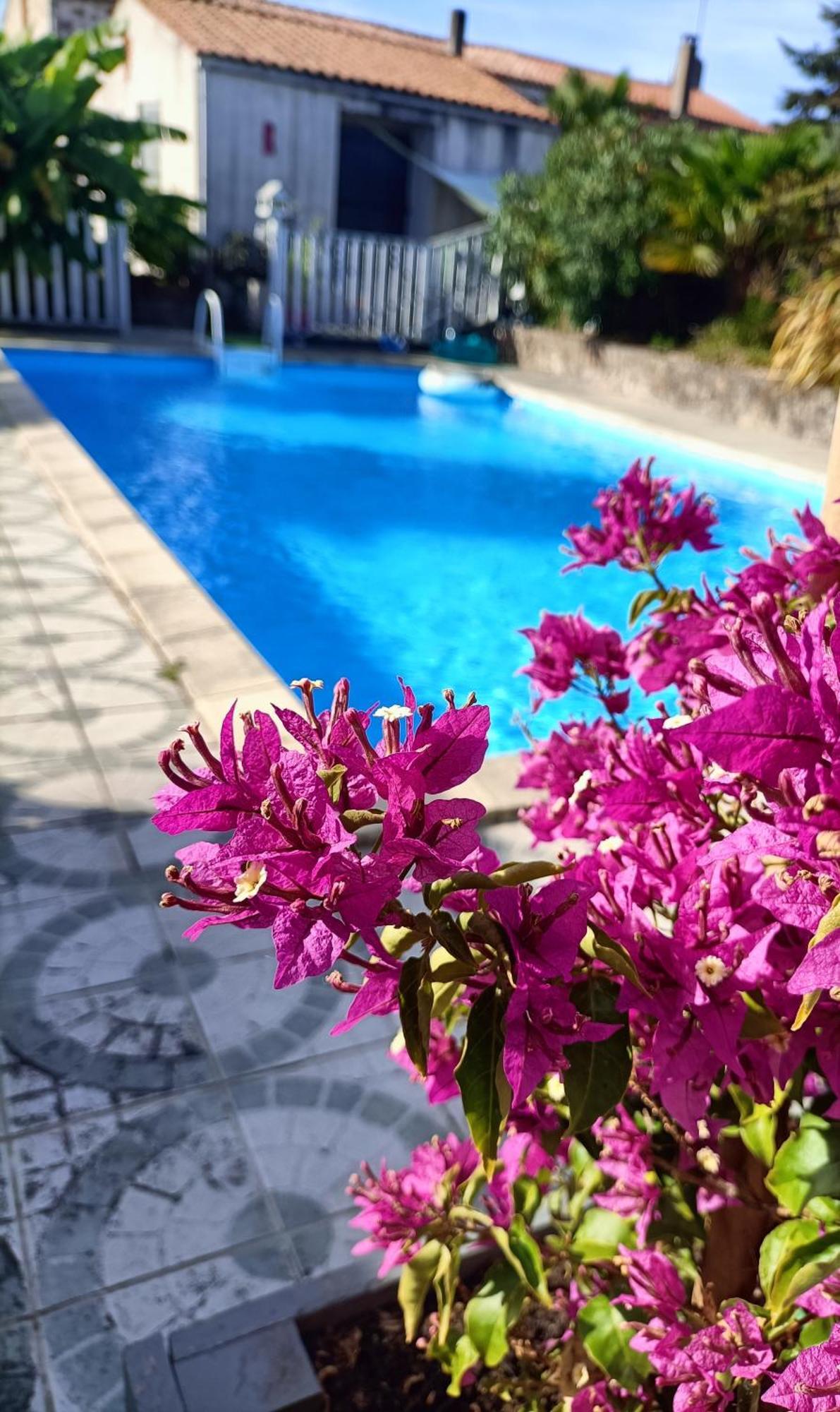 Les Bichettes Bed & Breakfast Mortagne-sur-Sevre Екстериор снимка